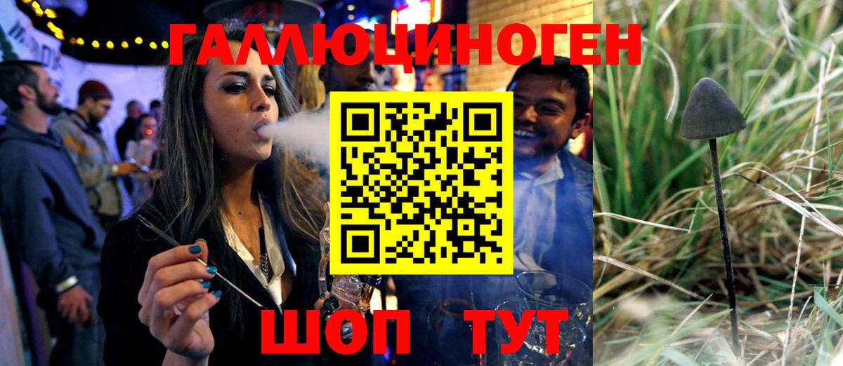Галлюциногенные грибы мицелий  Вход с VPN  Псилоцибиновые грибы Cubensis  как найти   Советск 