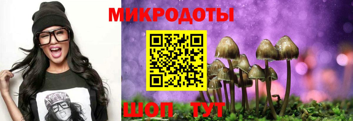 Галлюциногенные грибы мухоморы Советск