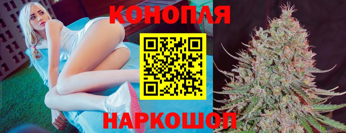 Конопля OG Kush Советск